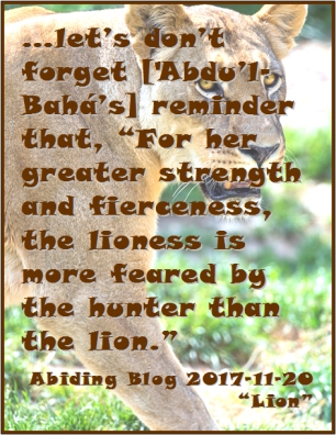 ...let's don't forget ['Abdu'l-Baha's] reminder that, "For her greater strength and fierceness, the lioness is more feared by the hunter than the lion." #Strength #Woman #AbidingBlog2017Lion